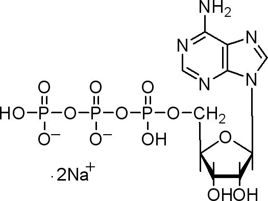三磷酸腺苷结构图片