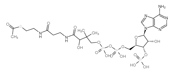乙酰辅酶a化学式图片